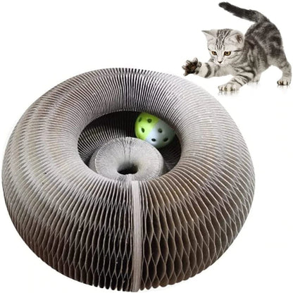 Whisker Wonder Scratching Toy